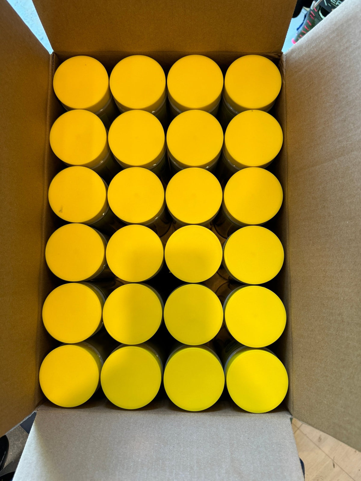 Head Pelotas De Frontenis X 24 - Racquet Online
