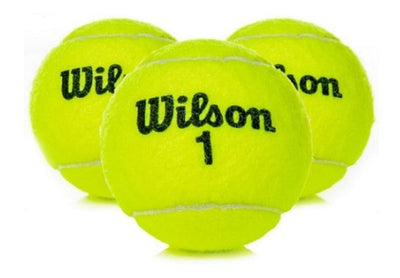 Wilson Championship 24 Pk - Racquet Online